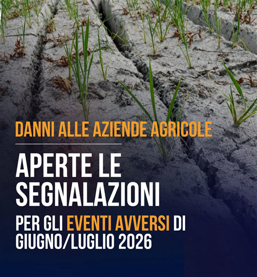Eventi calamitosi dei mesi di giugno e luglio 2026. Presentazione delle segnalazioni inerenti ai danni subiti dalle aziende agricole a seguito degli eventi avversi mesi di giugno e luglio 2026